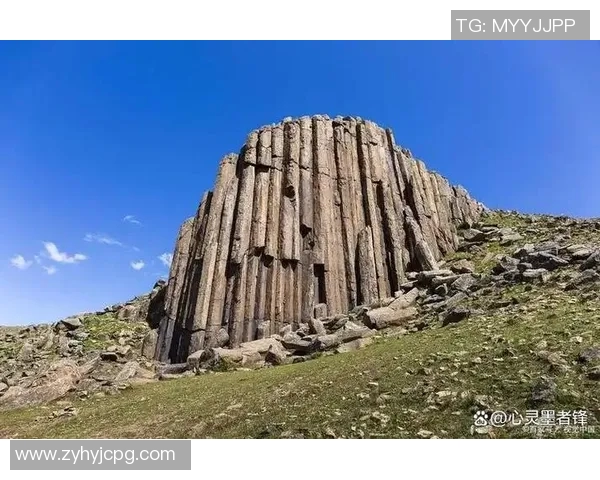 足球明星与可爱角色的奇妙结合探寻他们背后的趣味名字